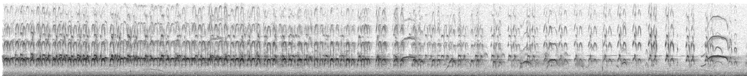 American Oystercatcher - ML228033