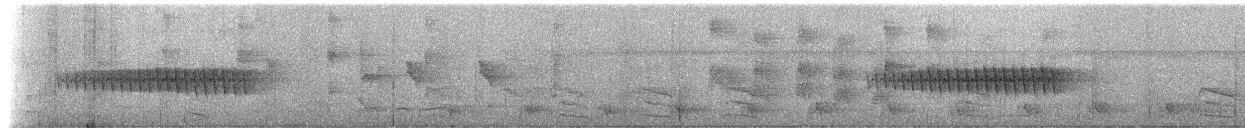 Troglodyte denté - ML228137