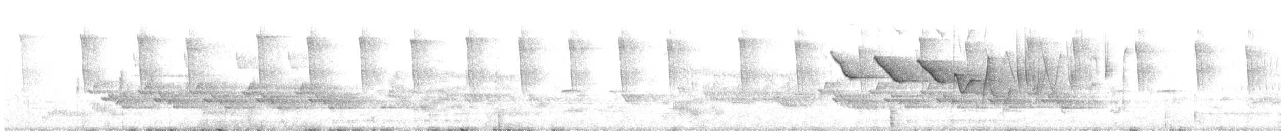 Louisiana Waterthrush - ML228184491