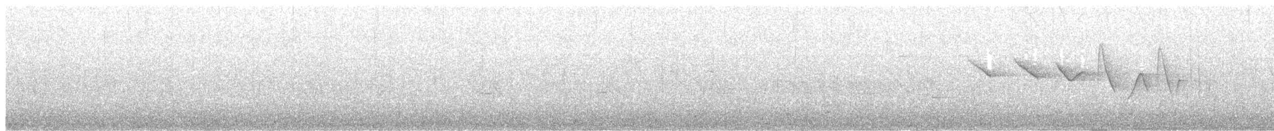 Трясогузковый певун - ML228216131