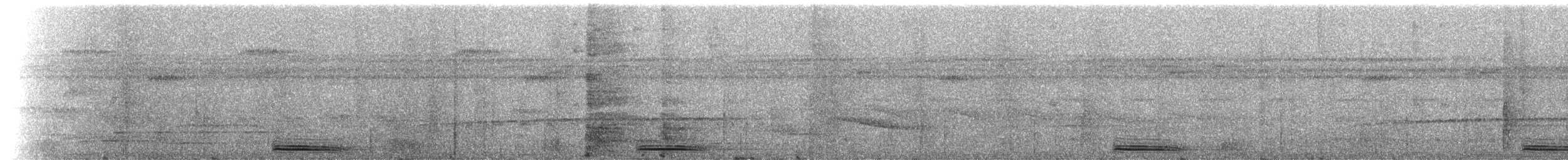 Broad-billed Motmot (Plain-tailed) - ML228222