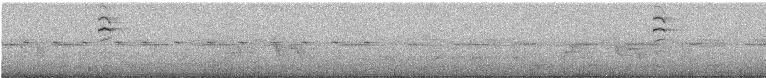 Calliste à tête noire (cyanoptera) - ML228231241