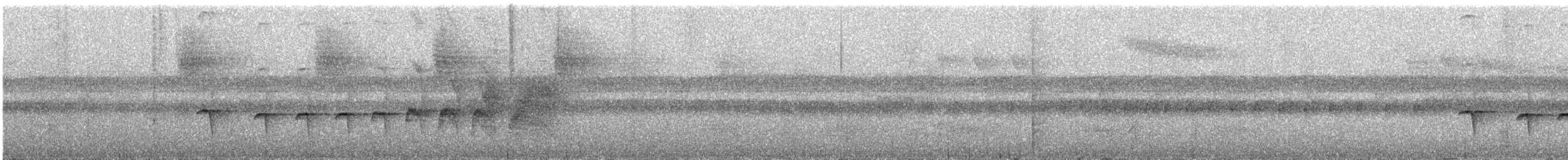 Rostflanken-Ameisenschnäpper - ML228243171