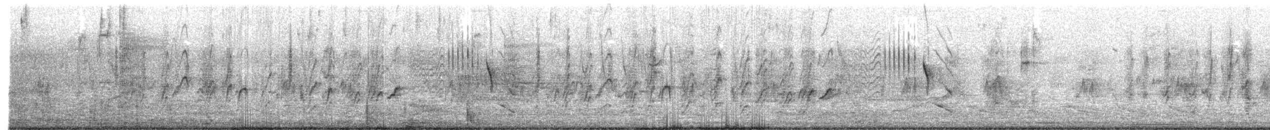 Hirondelle rustique - ML228259541