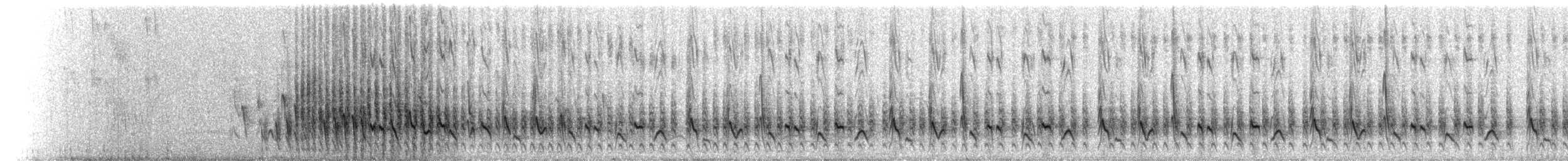 Ak Sokumlu Tangara - ML228277