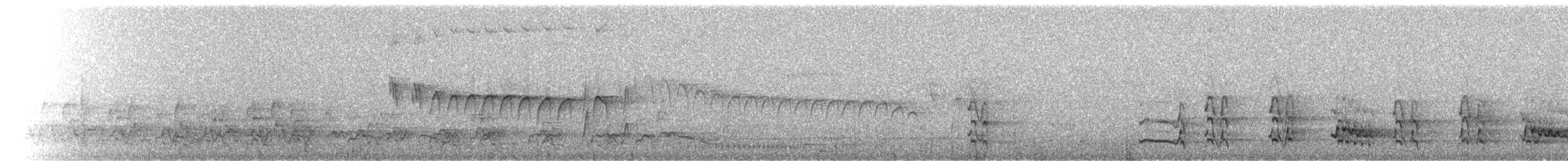 Troglodyte denté - ML228286