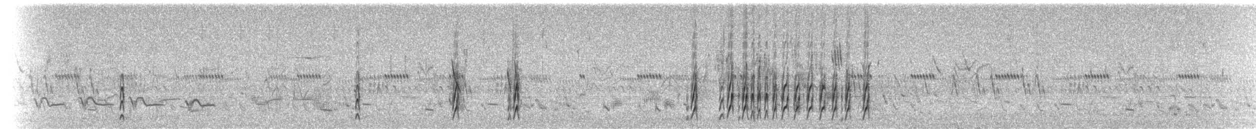 Schmalschnabel-Königstyrann - ML228419931