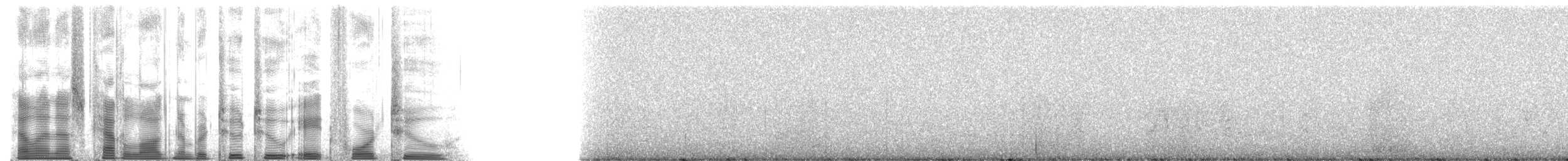 kvesal ušatý - ML22842