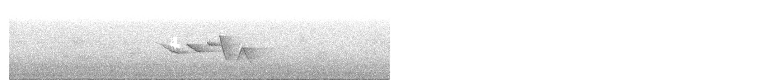 Swainson's Warbler - ML228509371