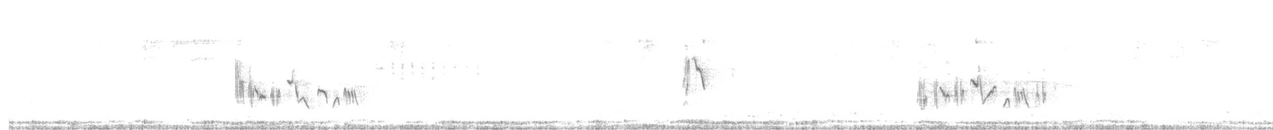 Batılı Kara Kulaklı Kuyrukkakan - ML228514191