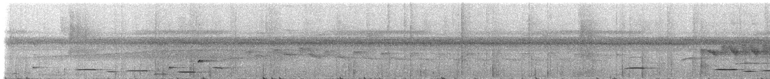 Troglodyte arada (salvini) - ML228522