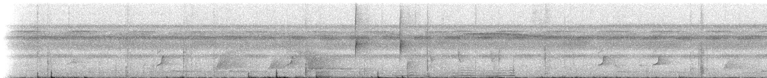 Whiskered Flycatcher (Whiskered) - ML228529