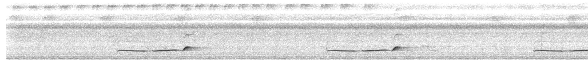Large Wren-Babbler - ML228538251