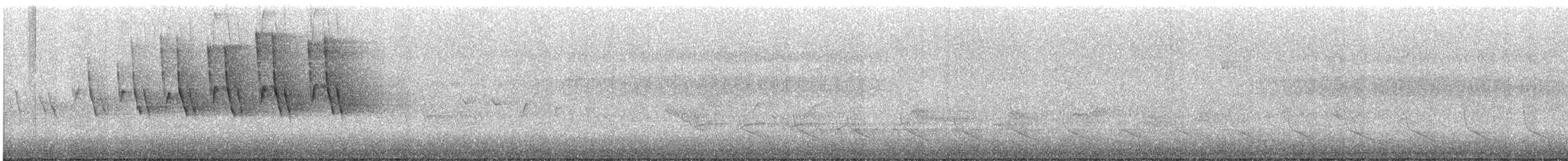 Ovenbird - ML228567121
