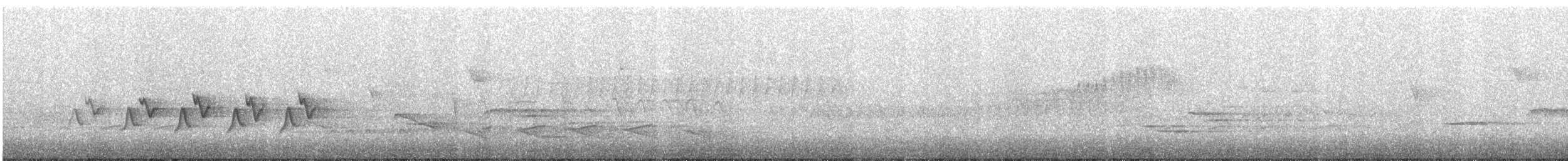 Kentucky Warbler - ML228567241