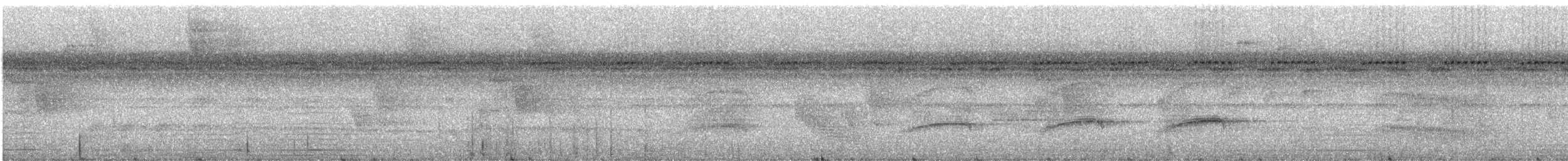 Sarı Telekli Yassıgaga (obscuriceps) - ML228579