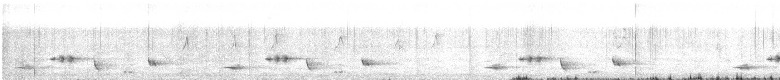Western Whipbird (Black-throated) - ML228585211