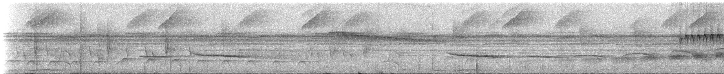Rufous-backed Stipplethroat (Yasuni) - ML228601