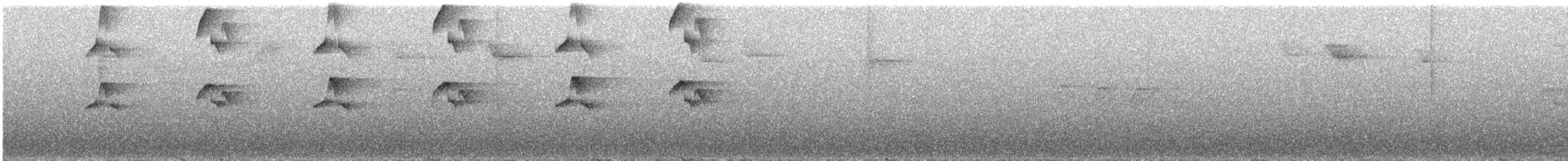 Пестрогрудый тираннчик - ML228607931