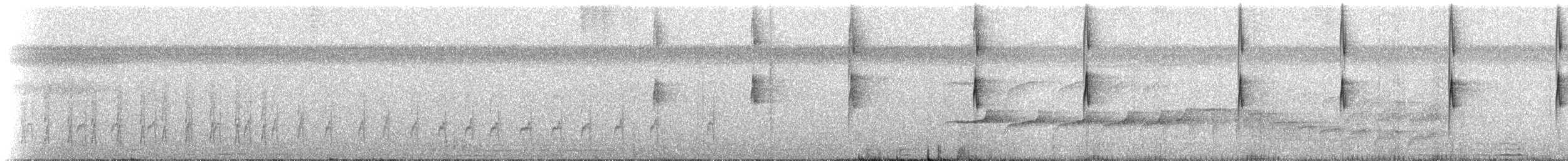 Прямоклювый колибри-отшельник (bourcieri) - ML228613