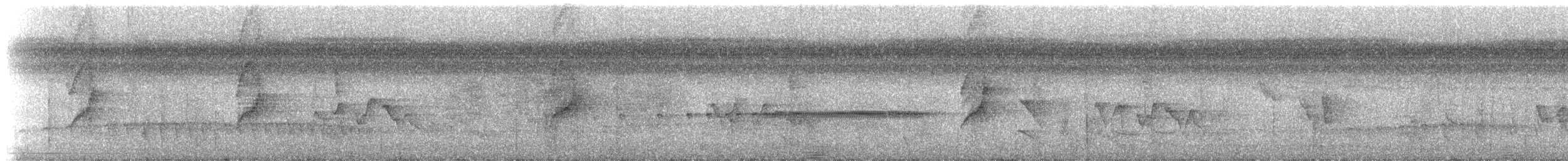 Sarı Telekli Yassıgaga (obscuriceps) - ML228632