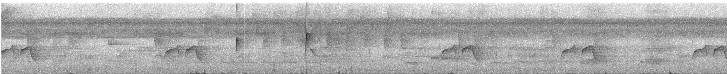 svarthaletyrann (atricaudus gr.) - ML228656