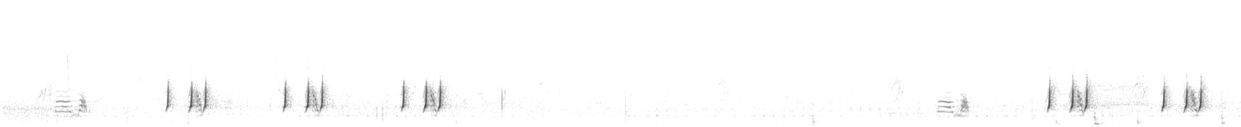 Common Quail - ML228691391