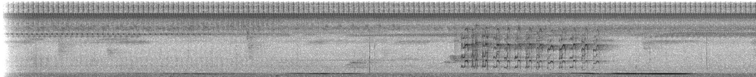 American Kestrel (Northern) - ML228705