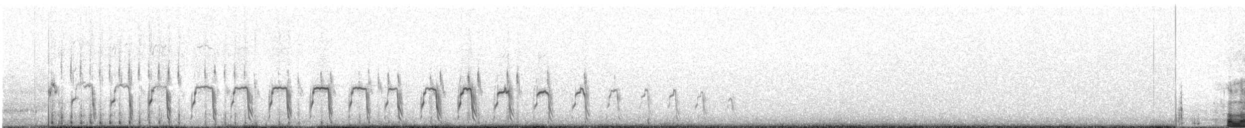 Tinamou orné - ML228741211