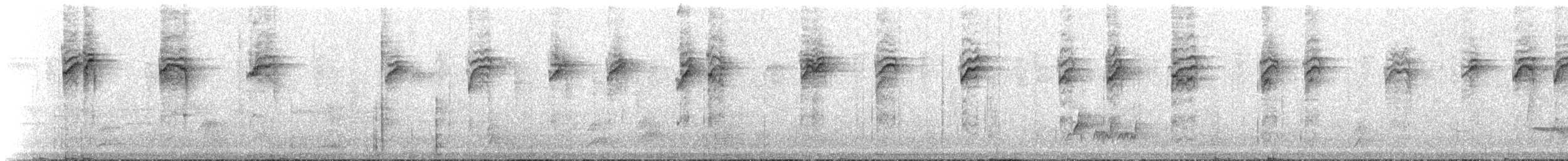 Elfenwaldsänger (insularis) - ML228774