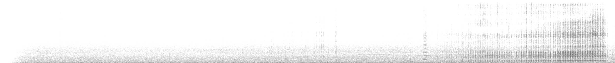 Little Penguin - ML228809