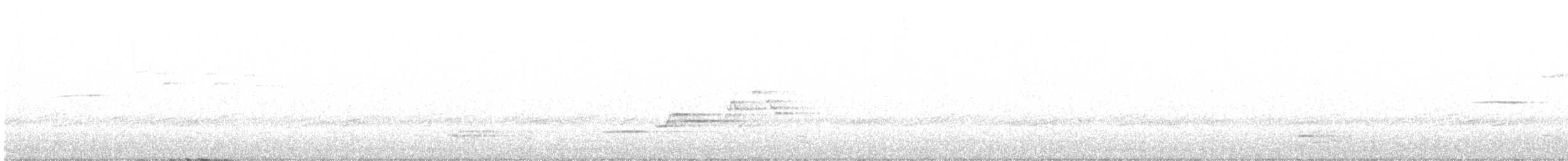 Hermit Thrush - ML228812201