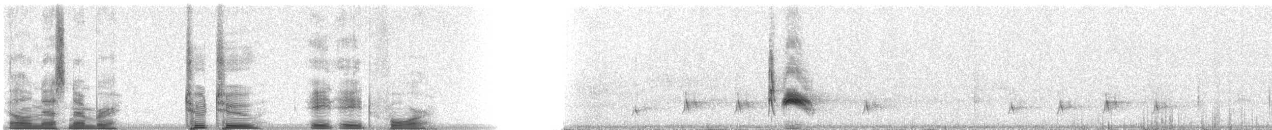 Cassin's Kingbird - ML22884
