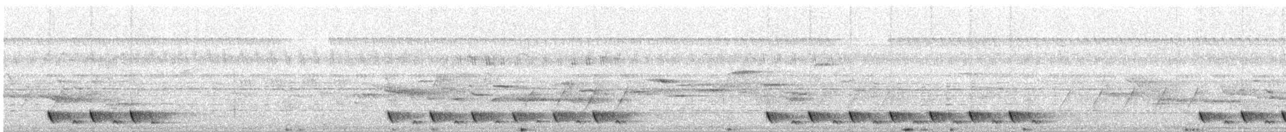 Jungle Nightjar - ML228867011