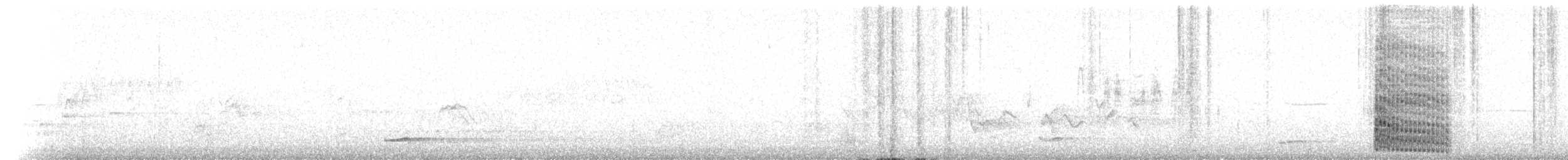 Дятел-смоктун сосновий - ML228889