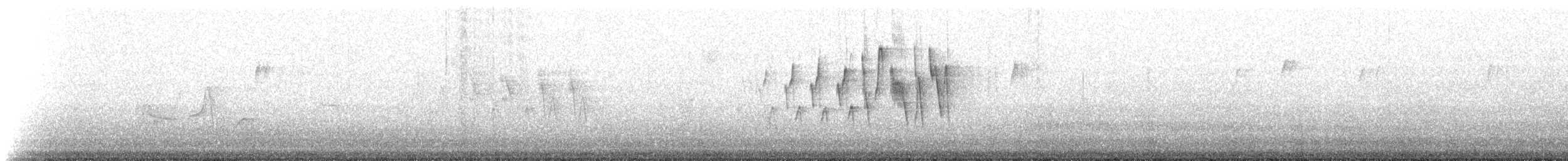 ミナミアサギアメリカムシクイ（insularis） - ML228955