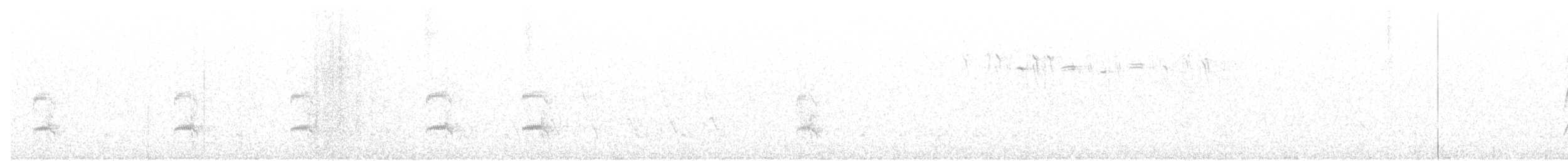 Boz Başlı Sinekkapan - ML22897881