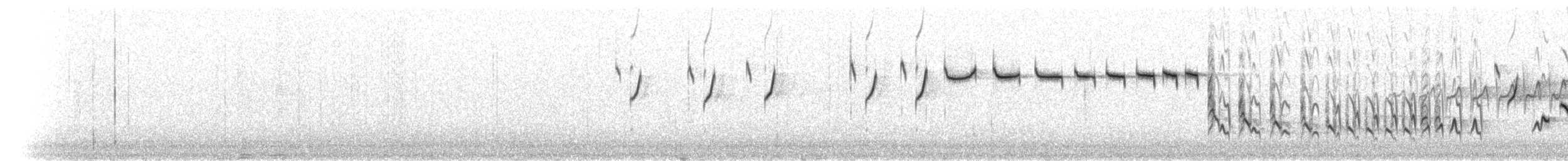 Rubingoldhähnchen - ML228998