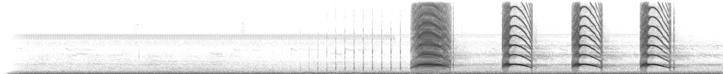 kurlan chřástalovitý [skupina pictus] - ML229002