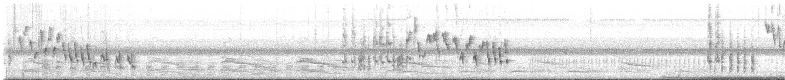 Northern House Wren (Northern) - ML229077