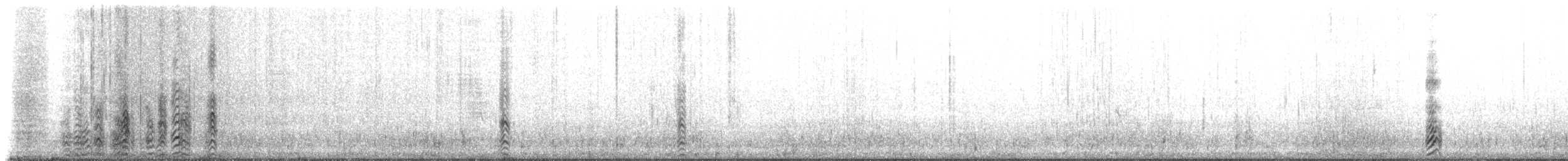 zoboun americký (ssp. niger) - ML229181