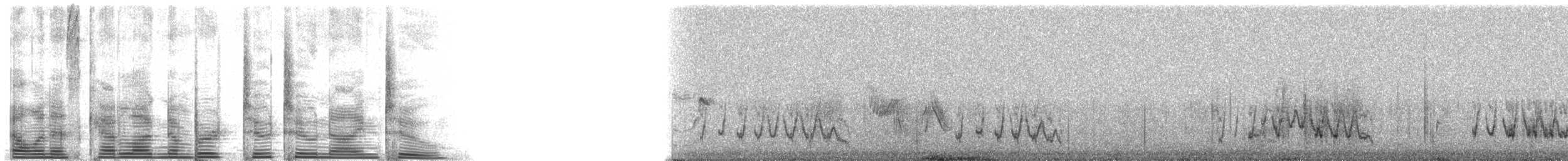 クラハシコウ - ML2292