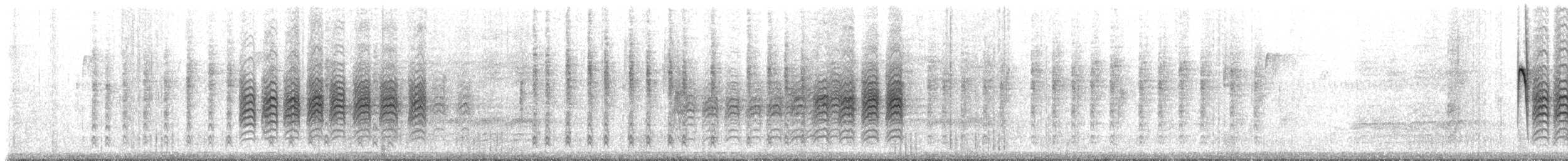 カロライナコガラ - ML229237
