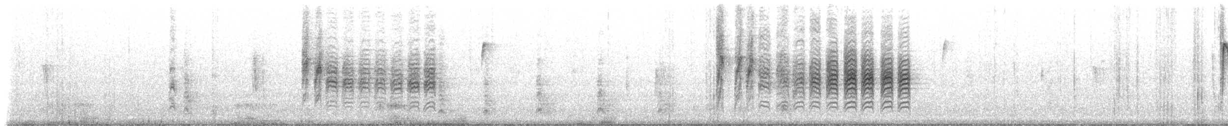 カロライナコガラ - ML229241