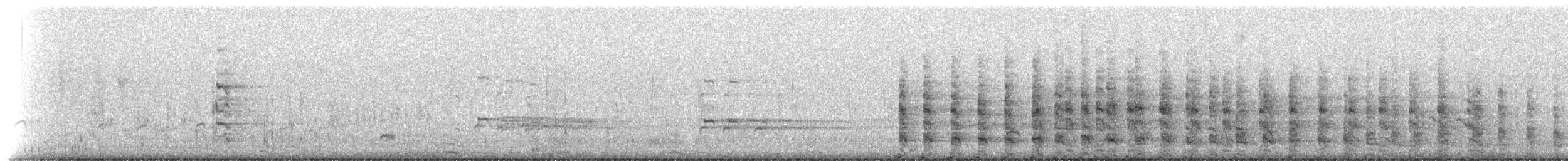 ヒガシオニクイナ（saturatus／scottii） - ML229252