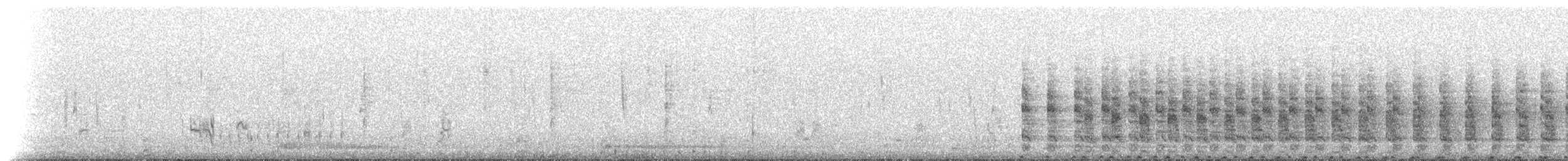ヒガシオニクイナ（saturatus／scottii） - ML229254