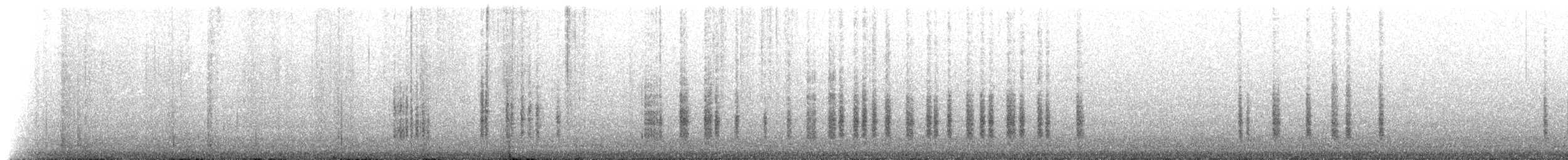 Troglodyte familier (groupe aedon) - ML229271