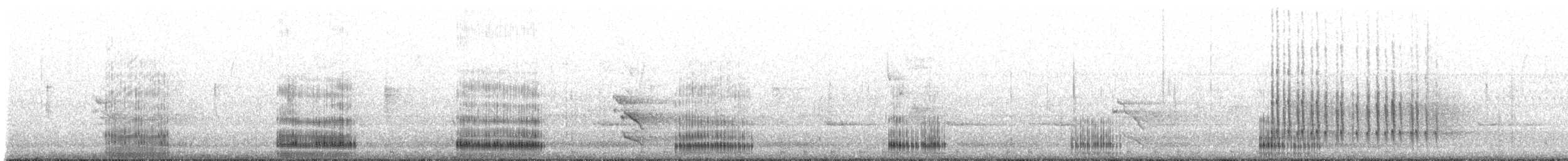 Büyük Ak Balıkçıl (egretta) - ML229283