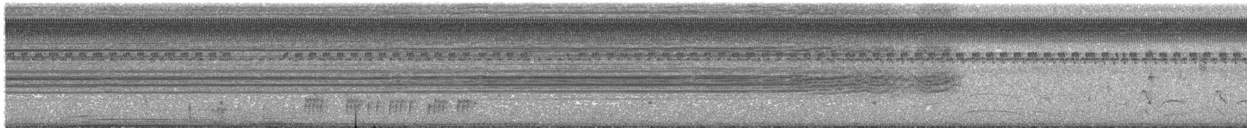 Ockergesicht-Todityrann - ML22934481