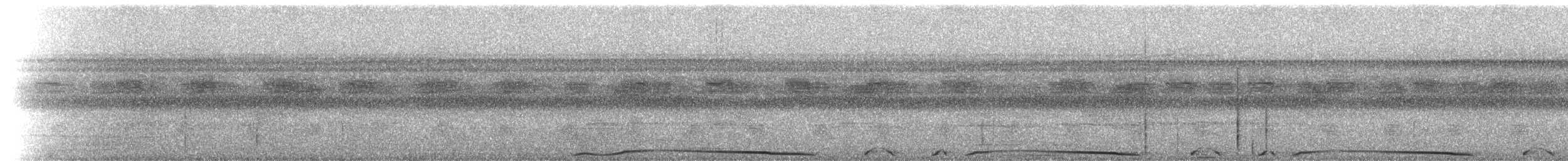 holub neotropický - ML229353